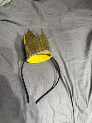 Felt Crown head band with removable crown
